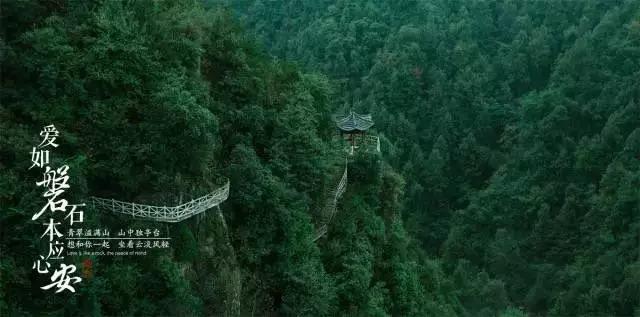 吉鹿力问答社区,与讨要工资和老板打架怎么处理?一起解决问题